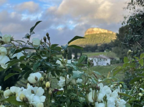 Le clos de la tour Cassis, Cassis